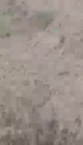 Russia Ukraine 🇷🇺🇺🇦: A quite interesting & unverified footage shows a Ukrainian soldier using UK-supplied NLAW ATGM (MBT LAW) against a Russian tank —allegedly from Sumy. | Military Cognizance