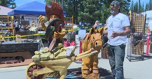 Major support seen for chainsaw carving auction in Lincoln