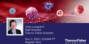 Cell-based Assays to Functionally Characterize Immunotherapy and the Immune Response to Viral Infection