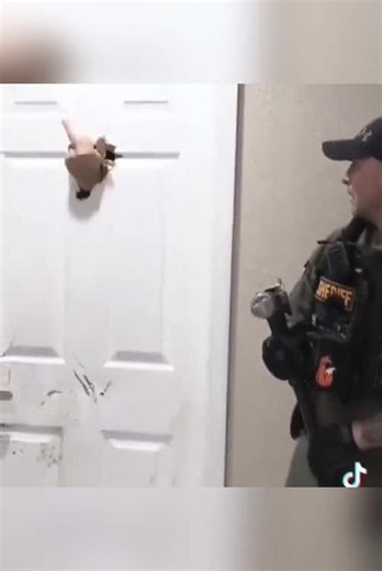 Failed police. #police #fail #funny #funnyvideos #fyp #foryou #satisfying #oddlysatisfyingvideo #tiktok