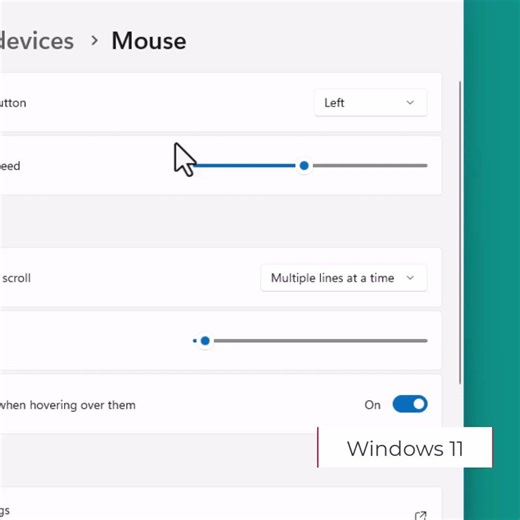 Windows 11 Mouse Button and Speed Setting