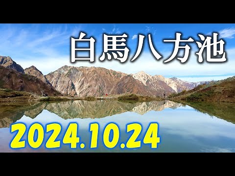 【白馬八方池】 ゴンドラ&リフトで楽々！秋の日帰り絶景ハイキング【2024/10/24】