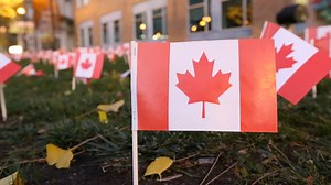 27K views · 1K reactions | 30,000 flags of remembrance: For the last six years, Sunnybrook Veterans Centre in Toronto has been raising funds for veterans through their Raise A Flag campaign. #RemembranceDay | The Globe and Mail | Facebook