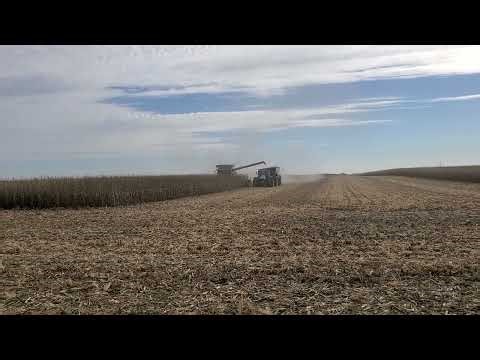Deere S680 and 616c 16 row chopping corn head