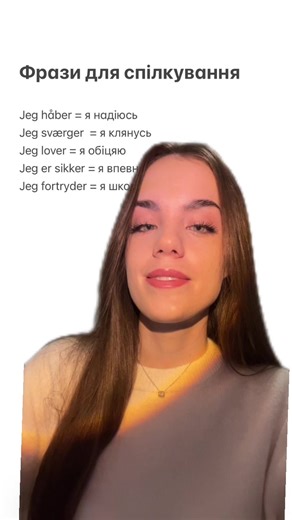 Learn Danish with a Tutor: Essential Phrases for Students