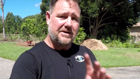 Wood chip mulch myth busted! See my super-productive fruit trees 🌳🍊