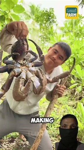 Coconut Crab Farming – World’s Largest Crab Farming Process | Unique Aquaculture Business Idea#crab