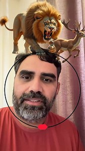 10K reactions · 319 shares | Lion Vs Deer #lion #deer #puzzle | Sandeep Kumar | Facebook