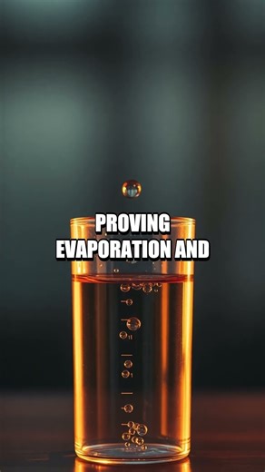 Sunlit Purifier A Tiny DIY Distillation Demo