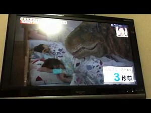 芸能人ドッキリ 恐竜 パート2
