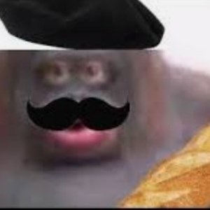 monke_pogchamp - Twitch