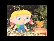 Extended Butterfly World Leaders