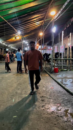 12K views · 966 reactions | pov: boy's in cow hut  | MR WHAT | Facebook