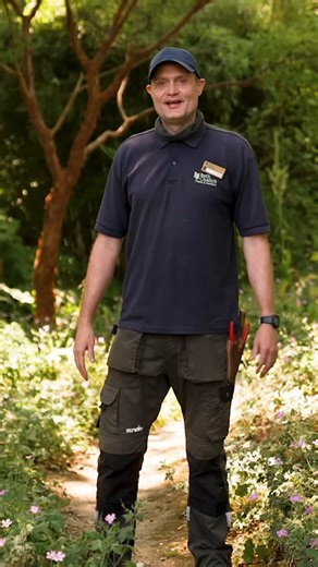 36 reactions | The Woodland Garden is the ideal spot to retreat to on a hot summer's day. Scott shows us just some of the plants you can expect to see at the moment. The gardens, nursery, tearoom and shop are open Tuesday-Saturday, 10am-5pm. #bethchattogardens #bethchatto #rightplantrightplace #plantnursery | Beth Chatto's Plants & Gardens | Facebook