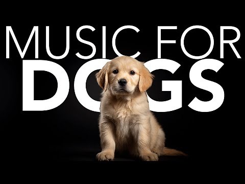 10 HOURS of Dog Relaxing Music 💖🦮 Peaceful Sounds for Dogs: Sleep, Relax, Feel Safe Now