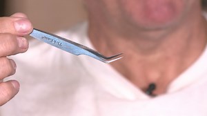 Inventor creates tool to remove ticks at all stages