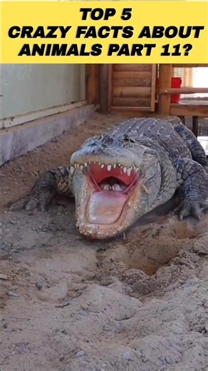 Top 5 Crazy Animal Facts Part 11 #shorts