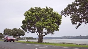 2.4K views · 18 reactions | It's important to remain alert while driving. Hyundai SmartSense Driver Attention Warning detects your attention level and will notify you to take a break if recommended. Hyundai SmartSense active safety features give you a better peace of mind for you and those you love. Signup for a test drive: bit.ly/HyundaiKomoco #HyundaiSG #SmartSense #Safety | Hyundai Singapore | Facebook