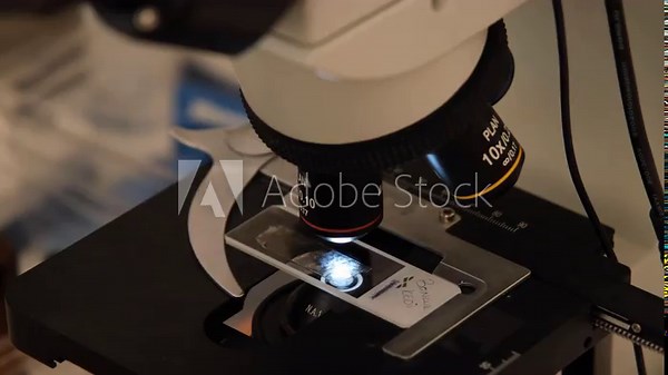 Laboratory technician analyzing samples under microscope. Medical researcher observing samples under microscope. Scientist using microscope for research examination.
