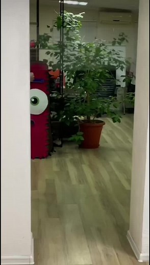 Brad Watkins on TikTok