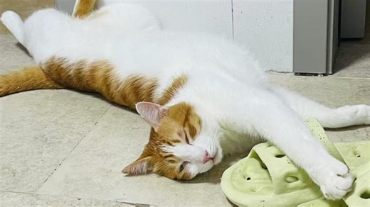 CS回不到从前了，对吧