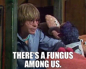 There's a fungus among us.