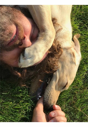 Gerard Butler's Iconic Film Roles and Achievements