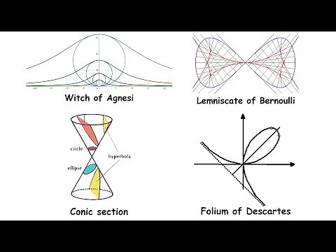Every Algebraic Curve Explained