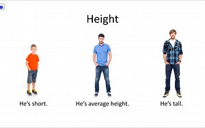 外貌描写最佳课件 Describing people。