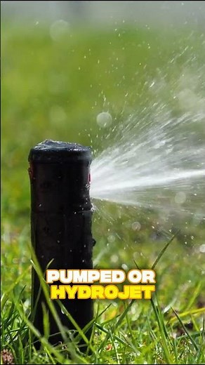 Keep Your Cesspool Healthy Year-Round | Seasonal Septic Care Tips