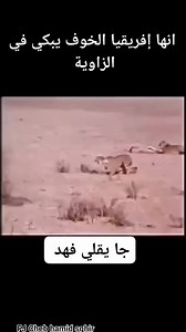 Hamid Hamid Cheb Saghir on Reels