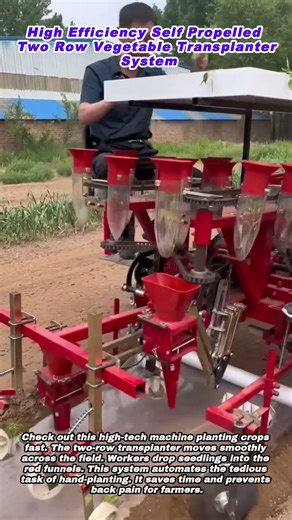 High Efficiency Self Propelled Two Row Vegetable Transplanter System