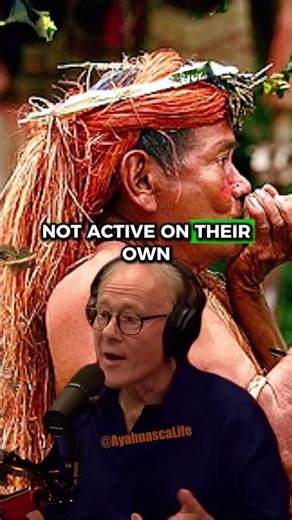 The Secret Chemistry of Ayahuasca and Curare - Joe Rogan and Graham Hancock