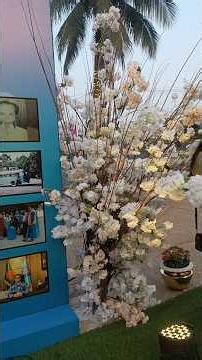 ৬৬তম প্রতিষ্ঠাবার্ষিকী তে ❤️ BAF Shaheen College Dhaka ❤️ #foundationday #shorts #shortsfeed