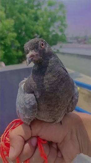 R.B EVENTS 😶..🖤...#short #video #shortvideo