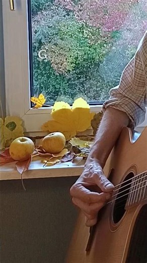 Auch der Herbst hat schöne Tage 🍂🌤️