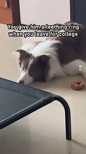 1.3M views · 20K reactions | Brutal! By Woody Wonder | 9GAG | Facebook