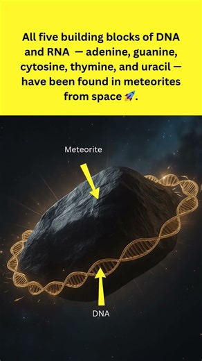 All DNA & RNA Bases Discovered in Meteorites!