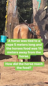 14K views · 51 reactions | I’m not sure #puzzle #quiz | Playing with Food | Facebook