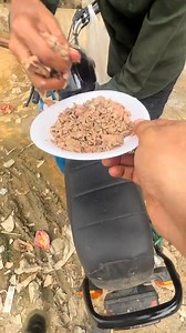 406K views · 10K reactions | Feeding Homeless dog | Animals World Pets Center & Pets Clinic | Facebook