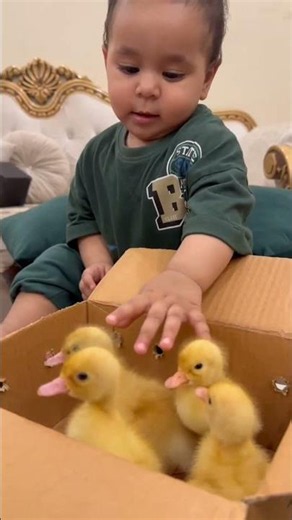 Babloo Loves Ducks 🦆🦆🦆🦆 | Growing Babloo vidoe 73 | #janumonobabloo