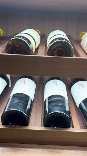 Custom Wine Cellar + Humidor Project | Luxury Downtown Condo