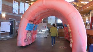 Inflatable colon display in Butte educates public