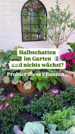 Halbschatten im Garten und nichts wächst? Ich habe ein paar Pflanzen für euch! ⛅️ #schatten #garten #gardentok #gardening #fyp