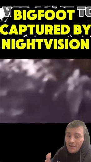 BIGFOOT CAUGHT ON NIGHT VISION #Bigfoot #Bigfootvlogs #BigfootSighting #BigfootIsReal #ParanormalVision #Paranormal #ParanormalActivity #ParanormalInvestigation #ParanormalInvestigationTeam #Scary #ScaryVideos #Unbelievable #Haunted #HauntedHouse #Ghost #Horror #GhostCaughtOnCamera #Demon #Devil #Evil #foryoupage #fyp #viral #ViralVideo #Reels | paranormalvison