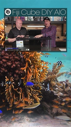 Fiji Cube AIO Box All InOne (AIO) Kit 20 Long & 40 Breeder | SR Unfiltered Review