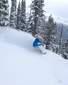 16K views · 720 reactions | Enjoy a pow lap with Nev as he talks about having soft knees to absorb any bumps, keeping your nose up and weight back and the difference a pow board can make for you run! Most importantly, get creative and have fun! : Nev lapwood : Mason Copeland | Snowboard Addiction | Facebook