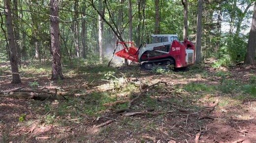 20 reactions | Looking to clean or clear out your woods or any overgrown areas? Let The City Farmer Lawn & Landscape take the back-breaking work out of it for you! Call 616.842.1245 to schedule! | The City Farmer | Facebook