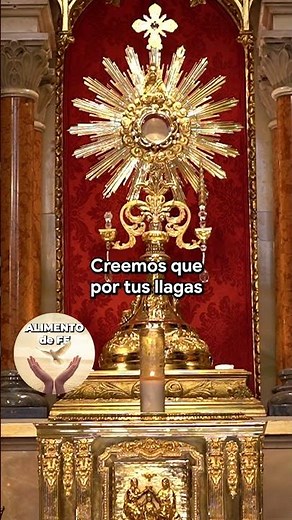 ✨ UNA PALABRA TUYA BASTA PARA SANARME, SEÑOR ✨ #Jesús #Sanación #Milagro #Esperanza #oracionescortas