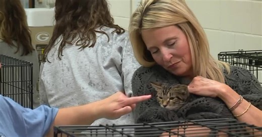 Math teacher hosts 'Fur-Day Night Lights' adoption fair at Mills Godwin High School